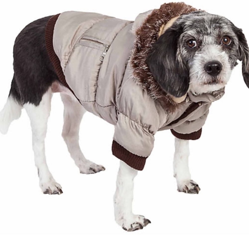 Classic metallic parka with removable hood -dog